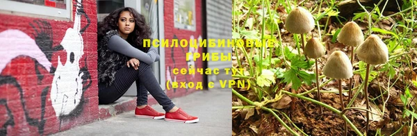 соль ск Майский